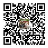 QQͼƬ20161123123806